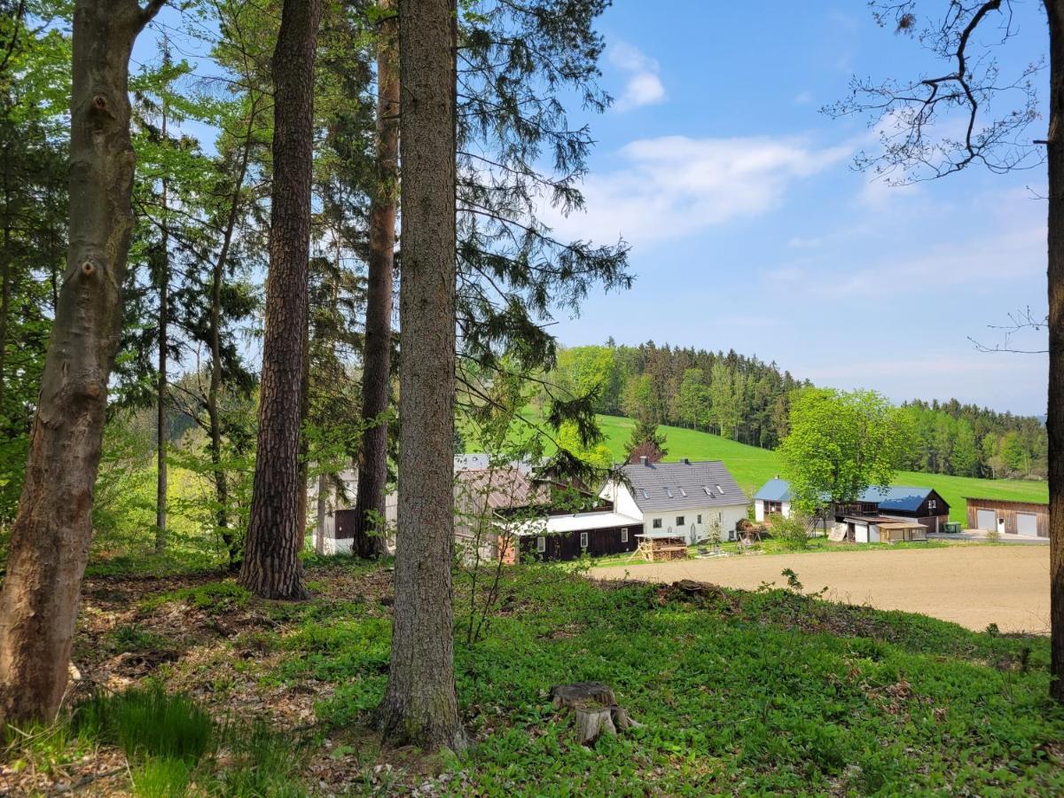 Ruhig gelegene, top moderne Ferienwohnung Neuhaus an Der Eger Exterior foto