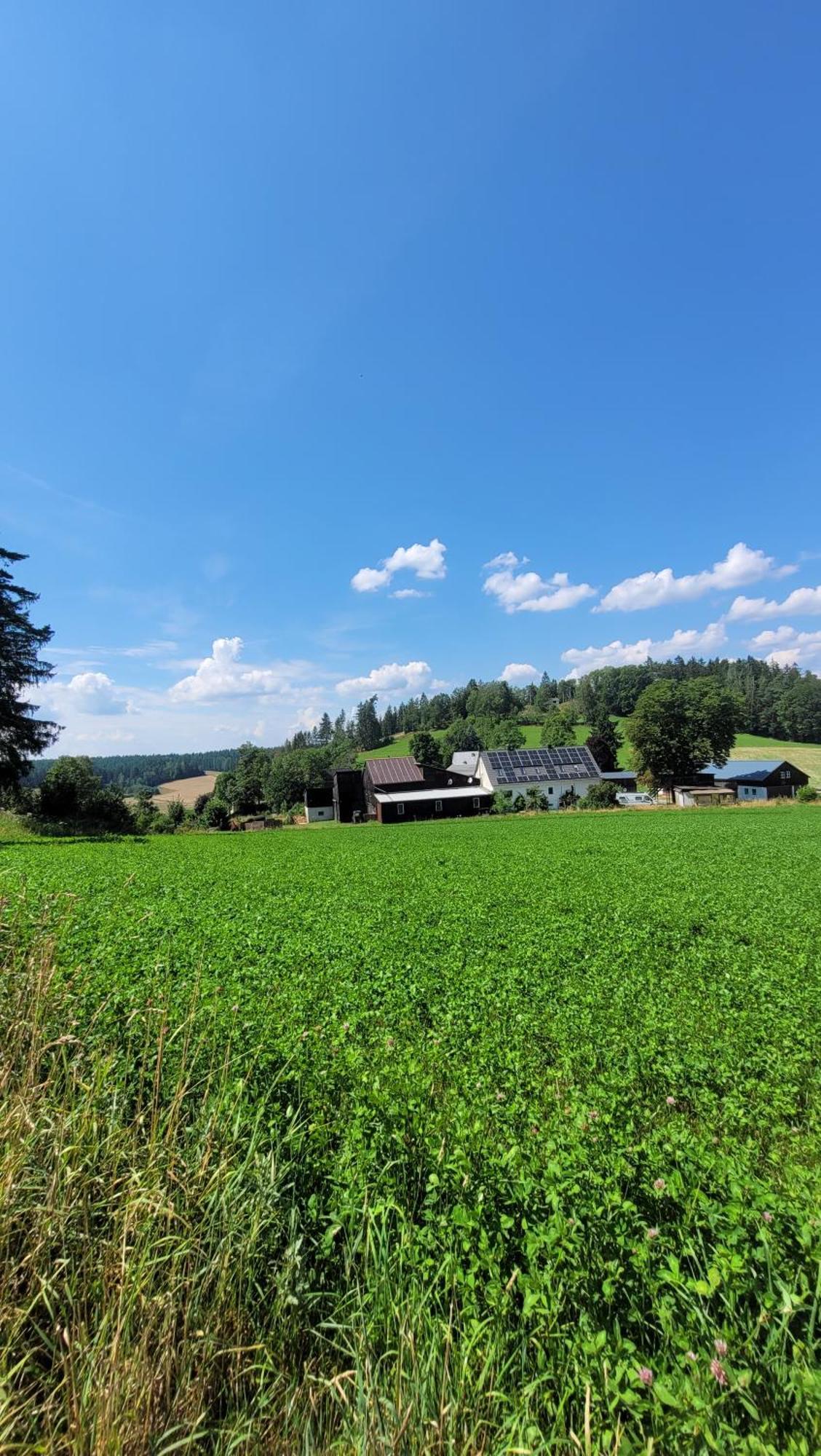 Ruhig gelegene, top moderne Ferienwohnung Neuhaus an Der Eger Exterior foto
