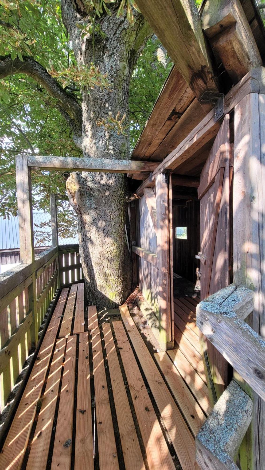 Ruhig gelegene, top moderne Ferienwohnung Neuhaus an Der Eger Exterior foto